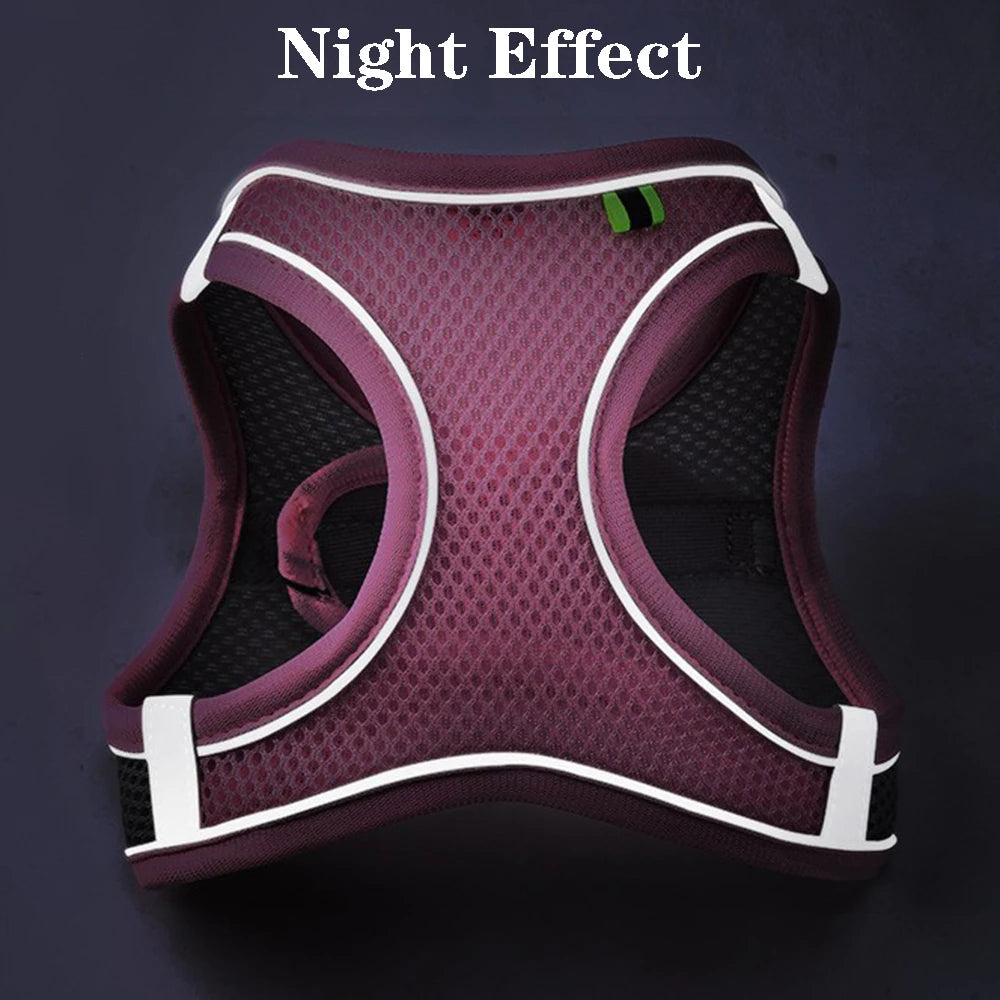 GlowGuard Pet Harness Set