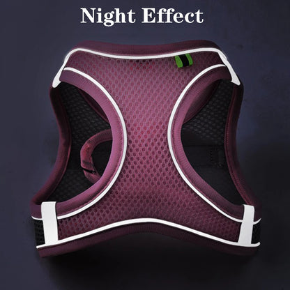 GlowGuard Pet Harness Set