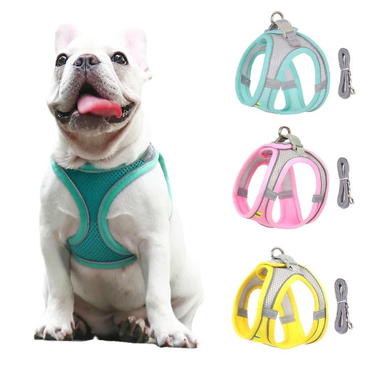 GlowGuard Pet Harness Set