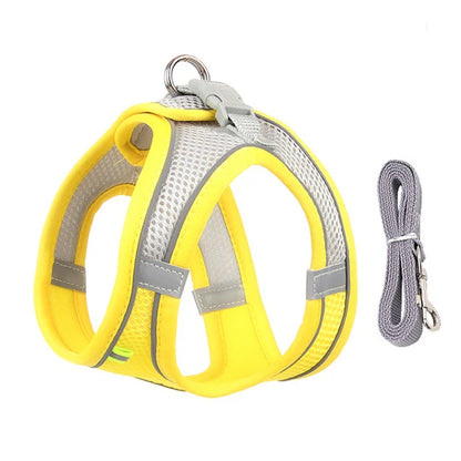 GlowGuard Pet Harness Set
