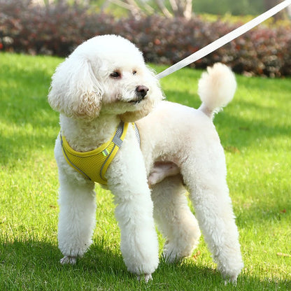 GlowGuard Pet Harness Set