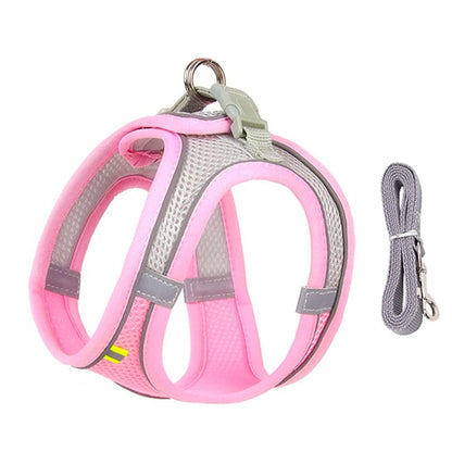 GlowGuard Pet Harness Set