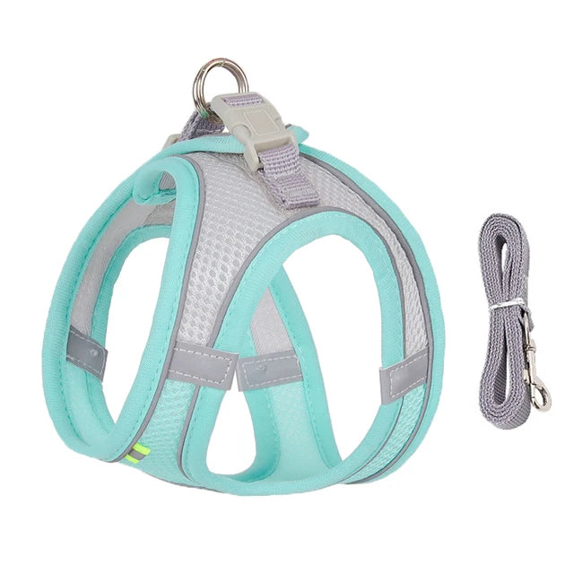 GlowGuard Pet Harness Set