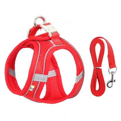 GlowGuard Pet Harness Set