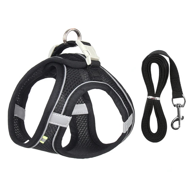 GlowGuard Pet Harness Set