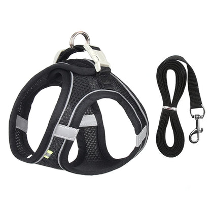 GlowGuard Pet Harness Set