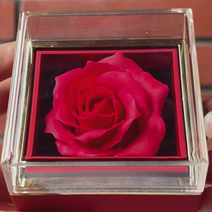 Rosé Spinning Box